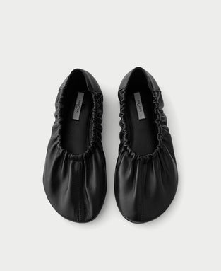Seed Ballerinas